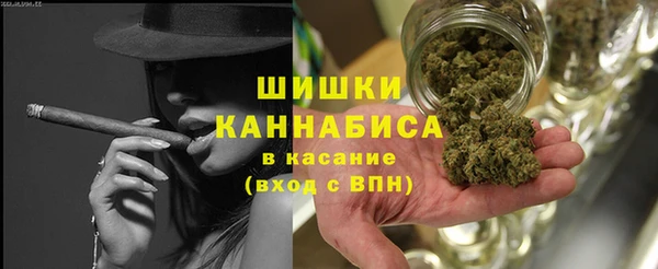 дурь Елабуга
