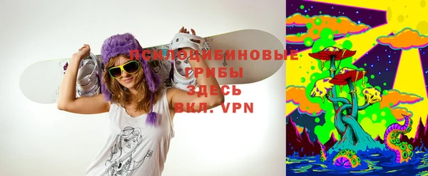трава Билибино